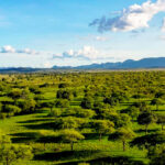 best-10-uganda-safari-holiday-destinations