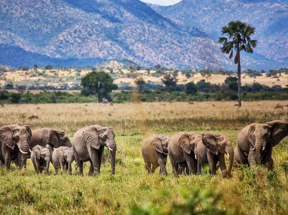 kidepo-valley-national-park-attractions