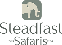 Steadfast Safaris