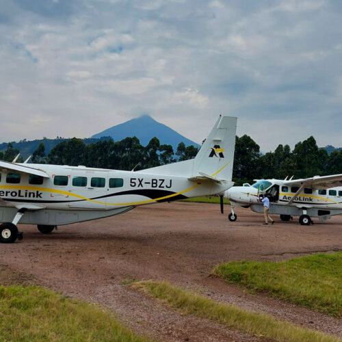 4-days-uganda-gorilla-fly-in-safari-to-bwindi