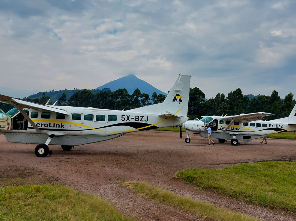 4-days-uganda-gorilla-fly-in-safari-to-bwindi