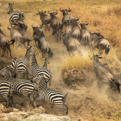 great_river_crossing