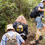gorilla-trekking-uganda-rwanda